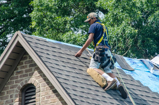 Best Gutter Installation and Roofing  in Spencerport, NY